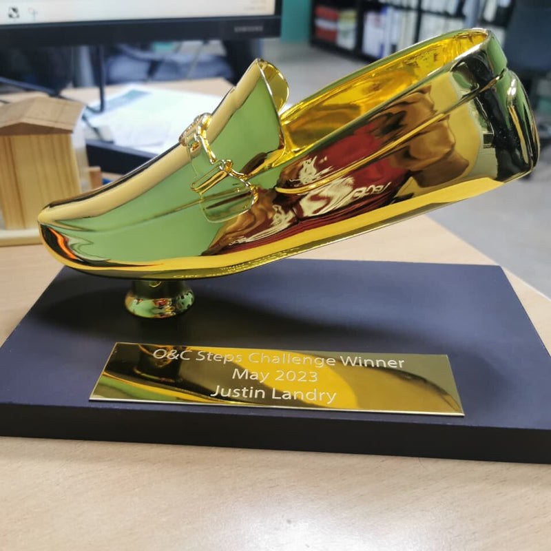 Chrome Shoe Trophy - 3D Printed Novelty Award