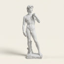 Michelangelo's David Statue Replica