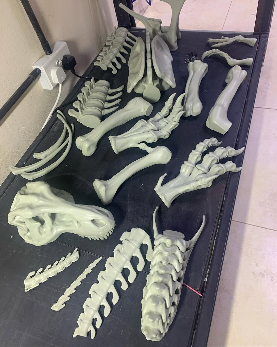 Dinosaur Skeleton T-Rex and Rhinoceros