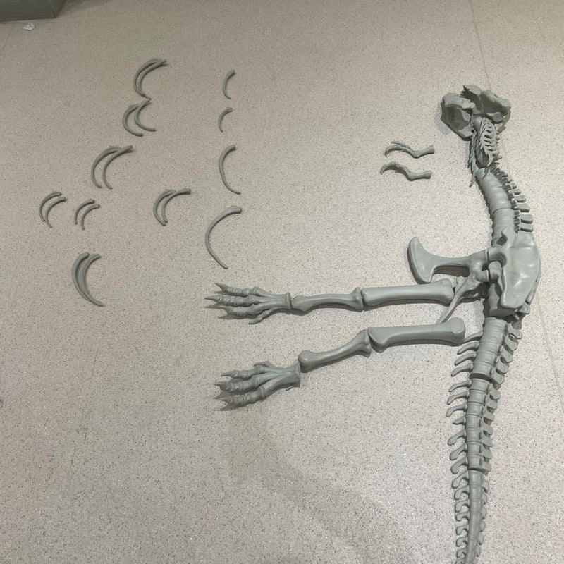 Dinosaur Skeleton