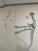 Dinosaur Skeleton