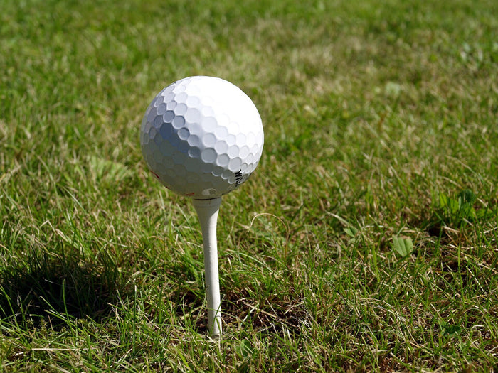 Fun Golf Event Trophy - Novelty Golf Ball Award