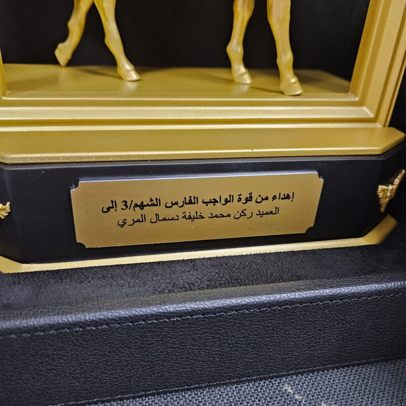 UAE founder award display view
