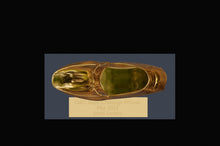 Golden Loafer 3D Design File - view 5
