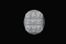 Packaging Box Model 3D Design File - view 3
