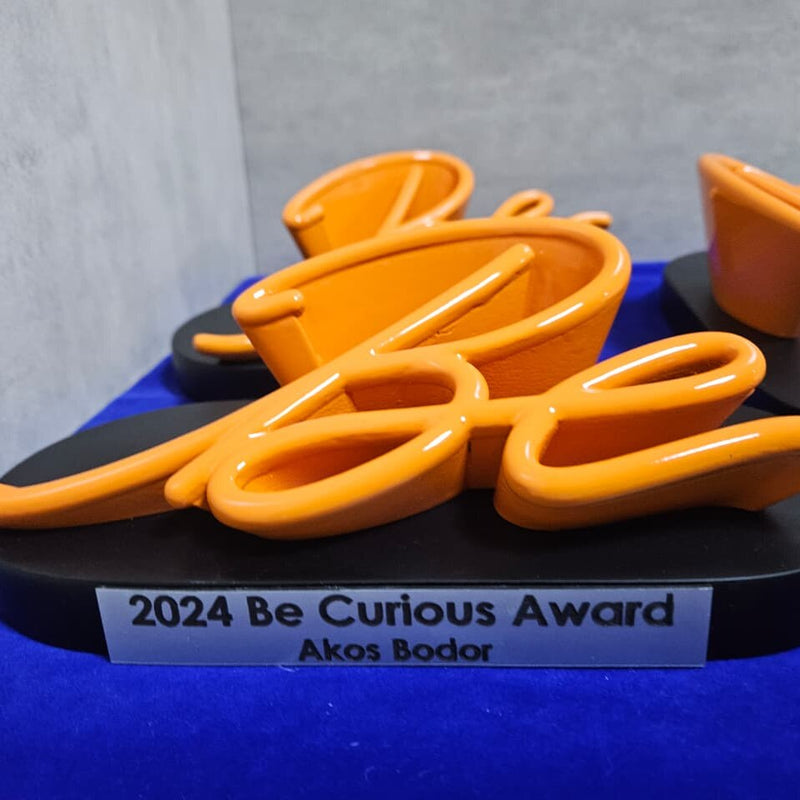 Be Courageous Award - Personalised Values Recognition Trophy
