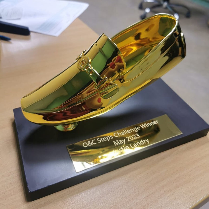 Chrome Shoe Trophy - 3D Printed Novelty Award