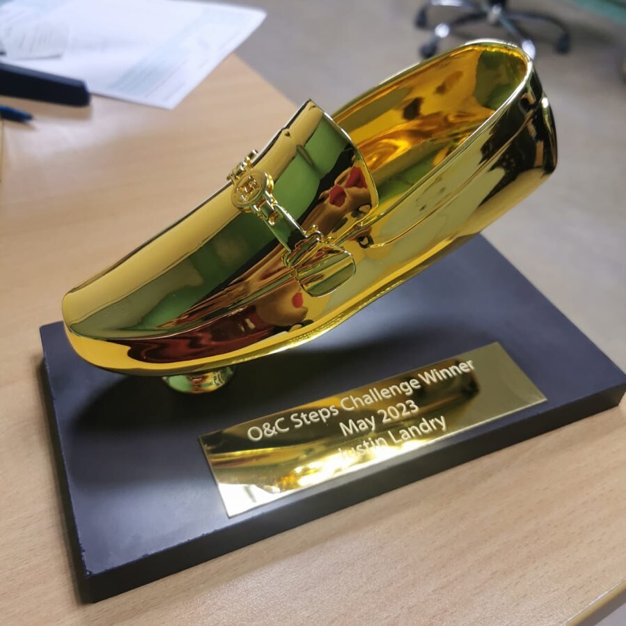 Chrome Shoe Trophy - 3D Printed Novelty Award