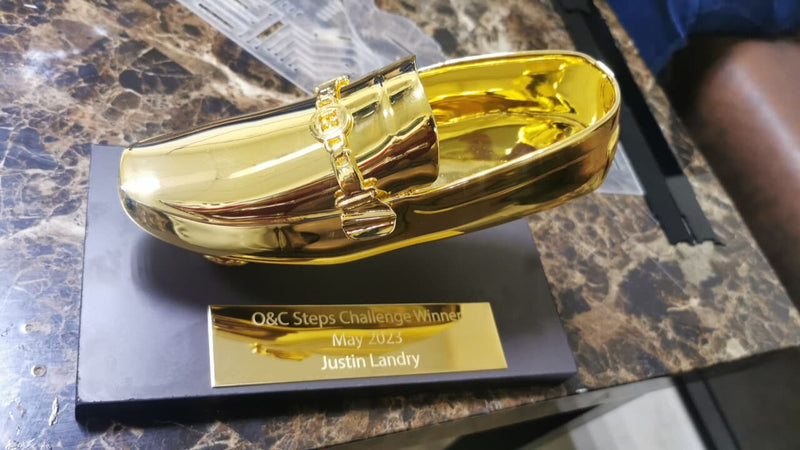 Chrome Shoe Trophy - 3D Printed Novelty Award