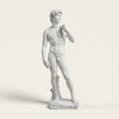 Michelangelo's David Statue Replica