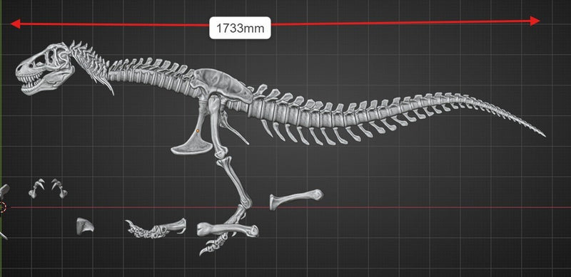 Dinosaur Skeleton