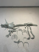 Dinosaur Skeleton