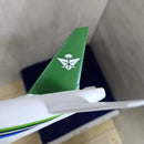 Aircraft Livery Model
