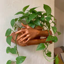 Cradling Arms Wall Planter