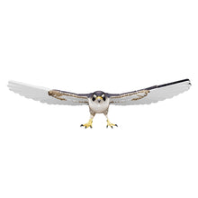 Interactive 3D model of Peregrine Falcon Figurine 3D Design File