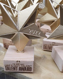 Gold Star Award